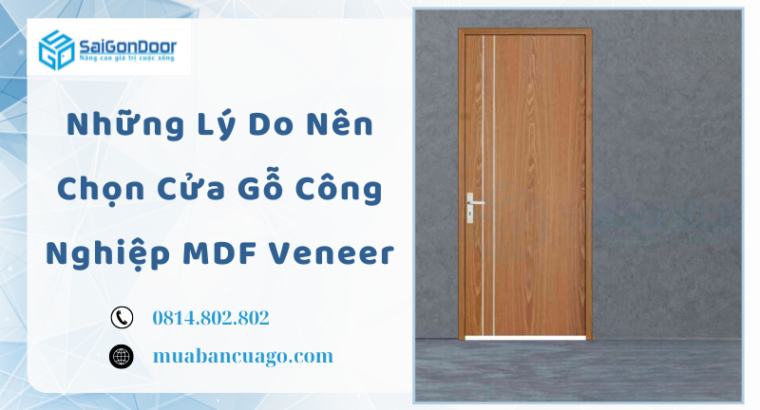 Những Lý Do Nên Chọn Cửa Gỗ Công Nghiệp MDF Veneer