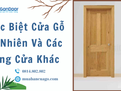 Khác Biệt Cửa Gỗ Tự Nhiên Và Các Dòng Cửa Khác